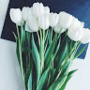 Meet your Posher, Lian